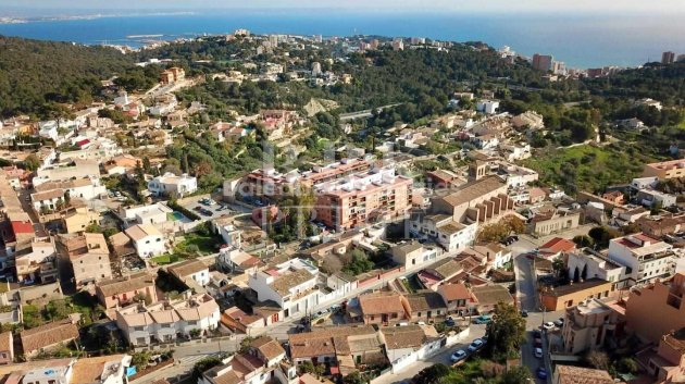 Resale - Apartments -
Palma - Gènova