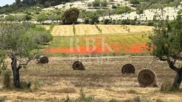 Resale - Land -
Montuiri