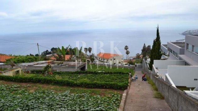 Revente - Land -
Madeira
