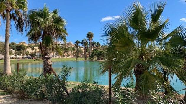 Resale - Villa -
Ciudad Quesada - Rojales