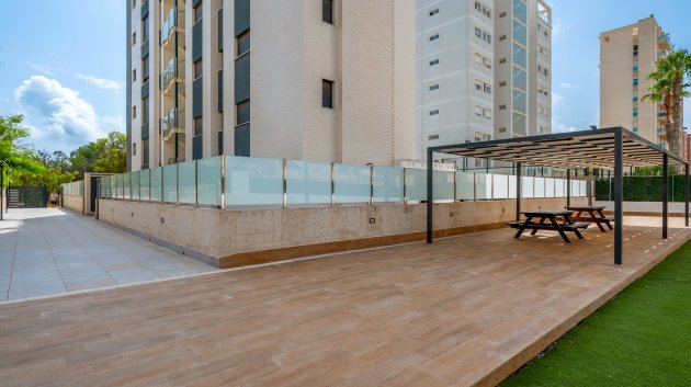 Reventa - Apartamentos -
Guardamar del Segura - Guardamar