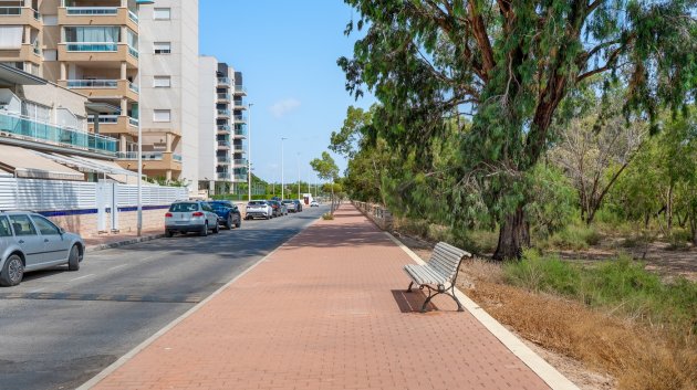 Reventa - Apartamentos -
Guardamar del Segura - Guardamar