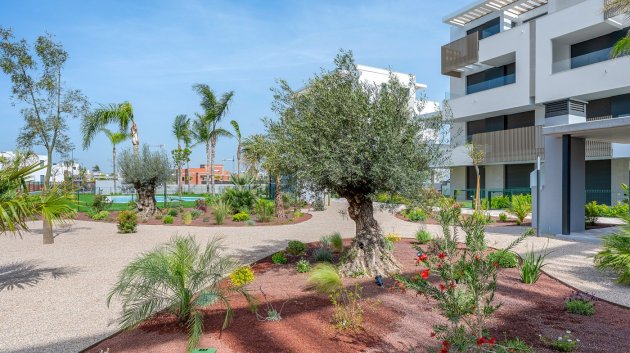 Reventa - Apartamentos -
Los Alcazares - Santa Rosalia