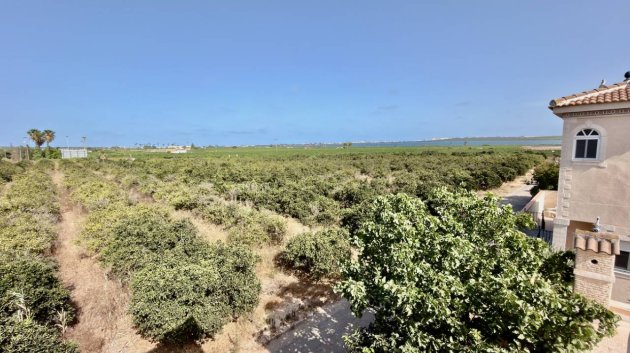 Resale - Villa -
Ciudad Quesada - Doña Pepa