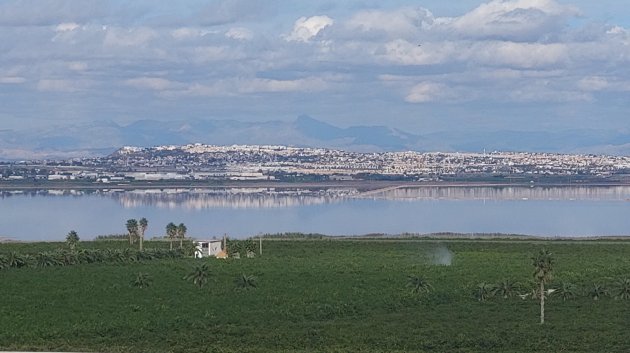 Resale - Apartments -
Torrevieja - Los Balcones