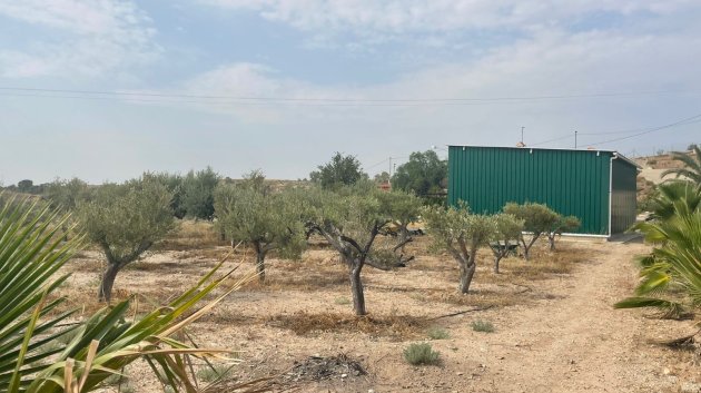Resale - Villa -
Abanilla