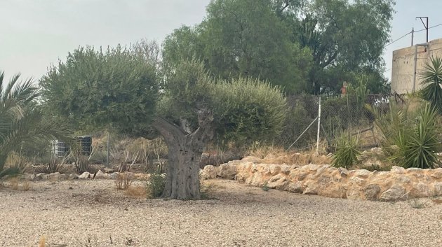 Resale - Villa -
Abanilla