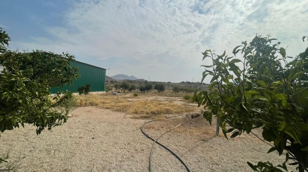 Resale - Villa -
Abanilla