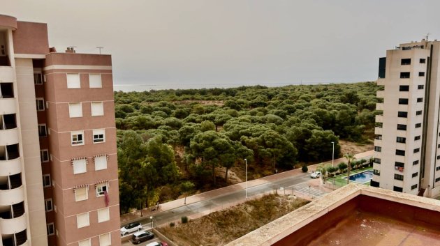 Reventa - Apartamentos -
Guardamar del Segura