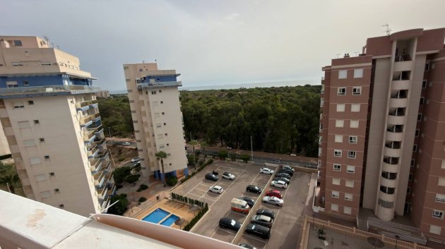 Reventa - Apartamentos -
Guardamar del Segura