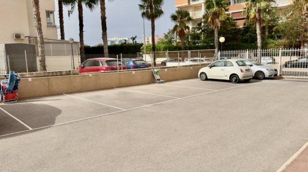 Reventa - Apartamentos -
Guardamar del Segura