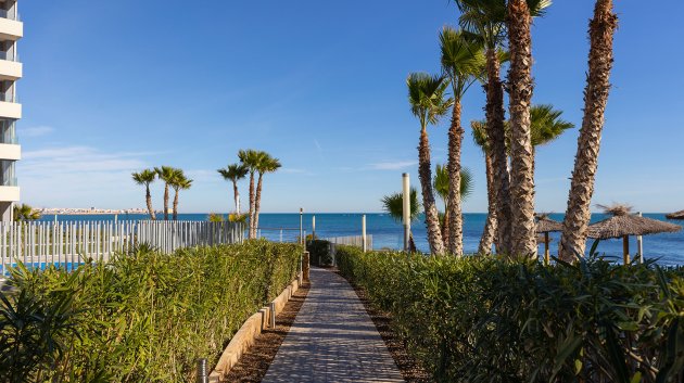 Reventa - Apartamentos -
Torrevieja - Punta Prima