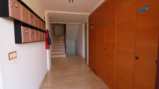 Reventa - Apartamentos -
Formentera del Segura