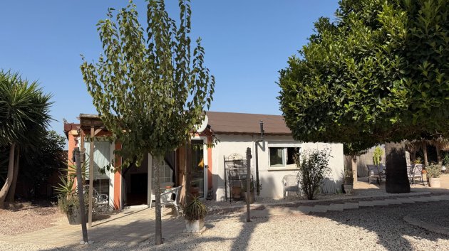 Reventa - Chalets -
La Marina - Elche / Elx