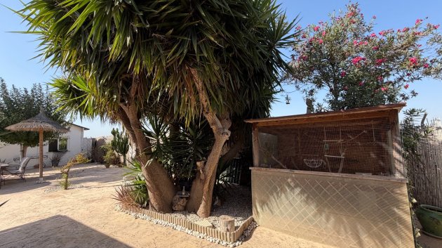 Reventa - Chalets -
La Marina - Elche / Elx