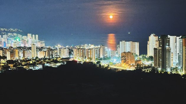 Resale - Apartments -
Benidorm - Playa Poniente