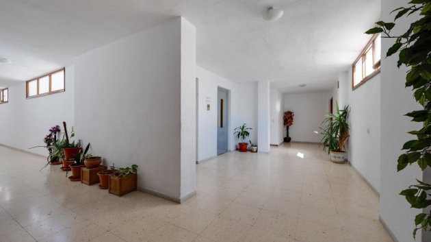 Reventa - Apartamentos -
Playa del Acequion