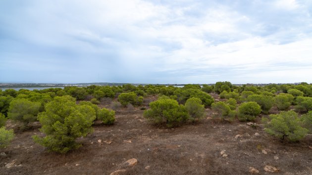 Reventa - Apartamentos -
Torrevieja - La Siesta