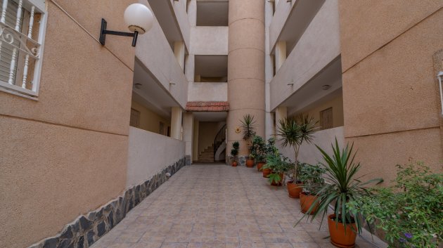 Reventa - Apartamentos -
Torrevieja - La Siesta