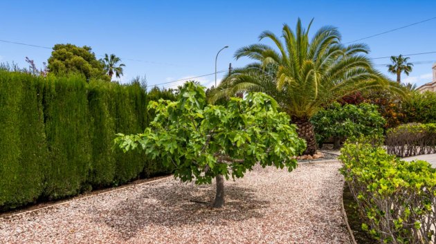 Resale - Villa -
Ciudad Quesada
