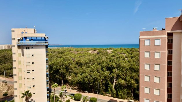 Reventa - Apartamentos -
Guardamar del Segura