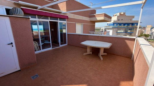 Reventa - Apartamentos -
Guardamar del Segura