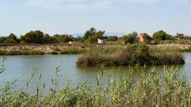 Reventa - Apartamentos -
Guardamar del Segura