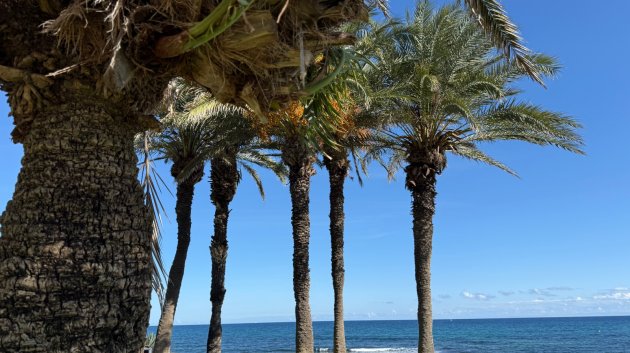Reventa - Apartamentos -
Torrevieja - La veleta