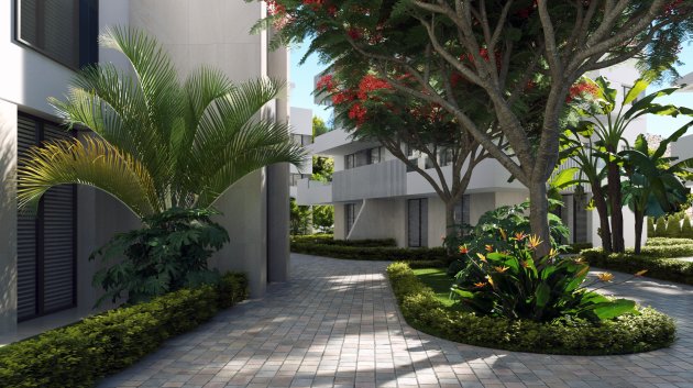 Nouvelle construction - Appartements -
Santa Rosalia - Santa Rosalía