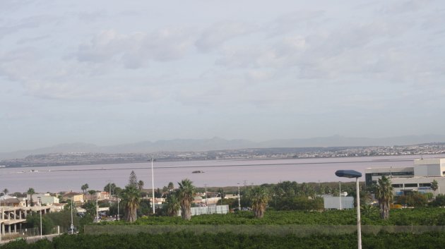 New Build - Villa -
Torrevieja