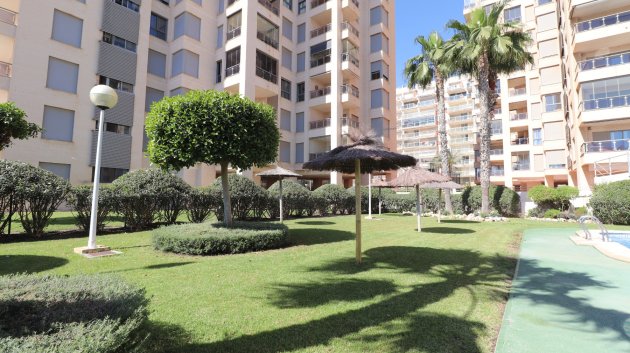 Reventa - Adosado -
Guardamar del Segura - Guardamar del Segura - Town