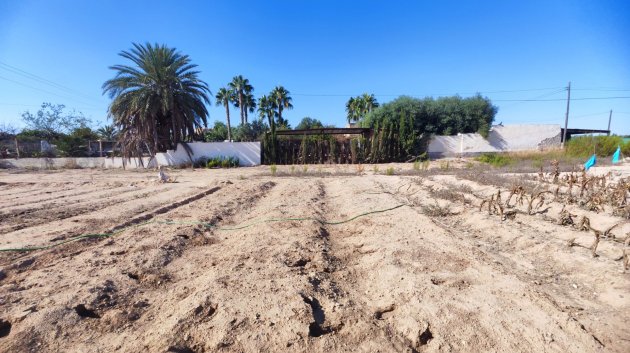 Resale - Villa -
San Miguel de Salinas