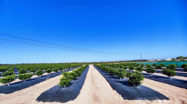 Resale - Villa -
San Miguel de Salinas