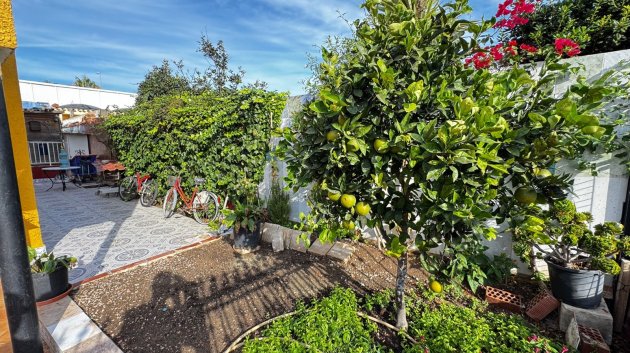 Revente - Villa -
Torrevieja - Punta Prima