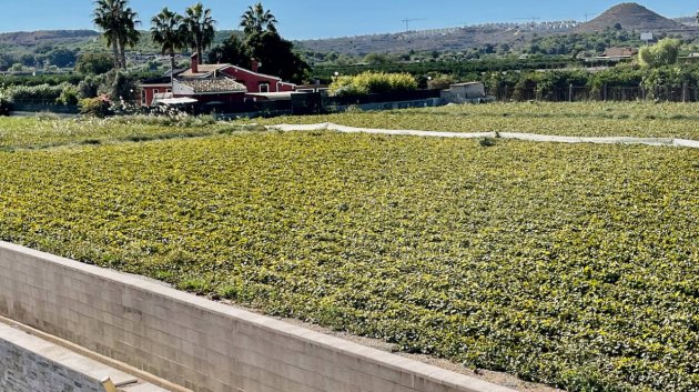 Resale - Villa -
Guardamar del Segura