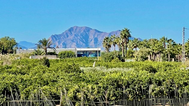 Resale - Villa -
Guardamar del Segura