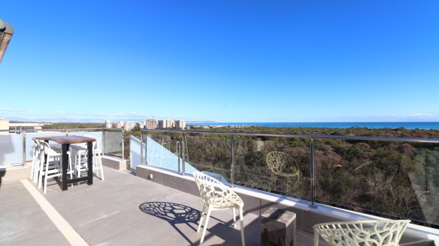 Reventa - Apartamentos -
Guardamar del Segura