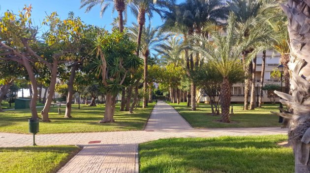 Revente - Appartements -
Torrevieja - Playa Los Locos