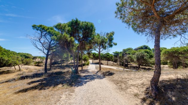 Revente - Appartements -
Guardamar del Segura - Pinomar