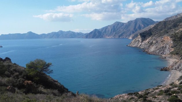 New Build - Townhouse -
Roldán