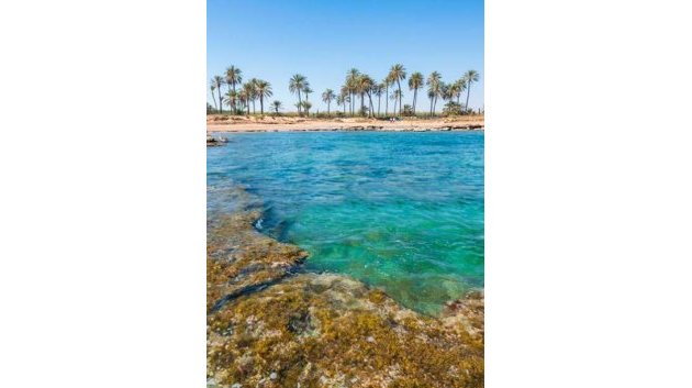 Obra nueva - Apartamentos -
Torrevieja