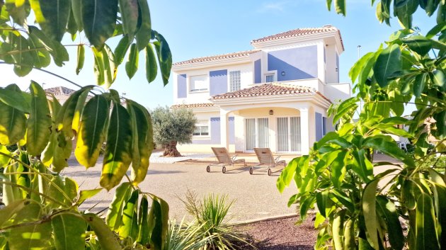 Obra nueva - Chalets -
Purias