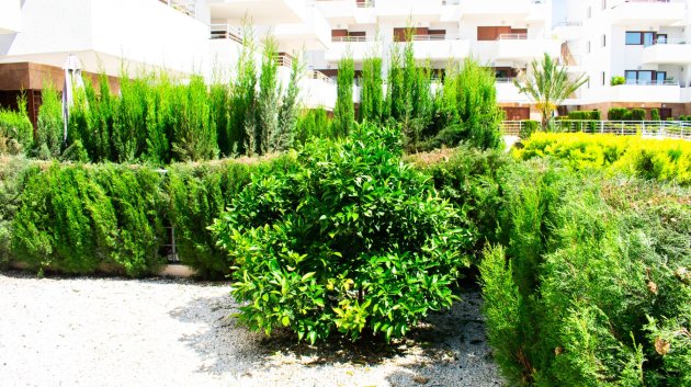 Reventa - Apartamentos -
Orihuela Costa - Cabo Roig