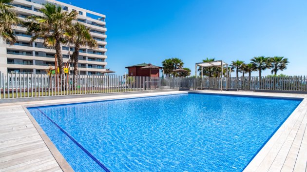 Reventa - Apartamentos -
Torrevieja - Punta Prima