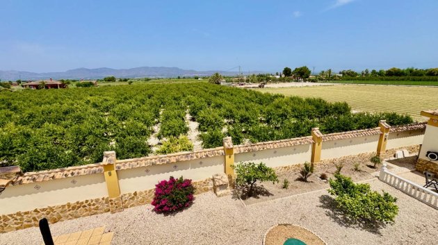 Revente - Villa -
Catral