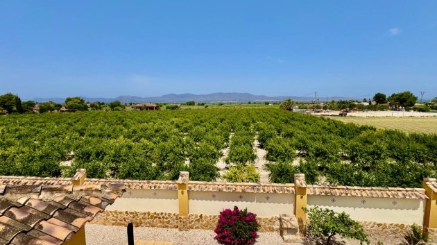 Revente - Villa -
Catral
