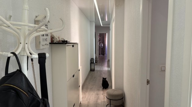 Resale - Apartments -
Torrevieja - Center