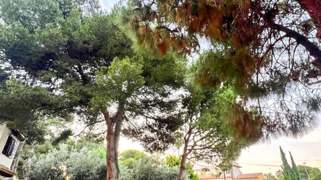 Resale - Villa -
Orihuela Costa - Punta Prima