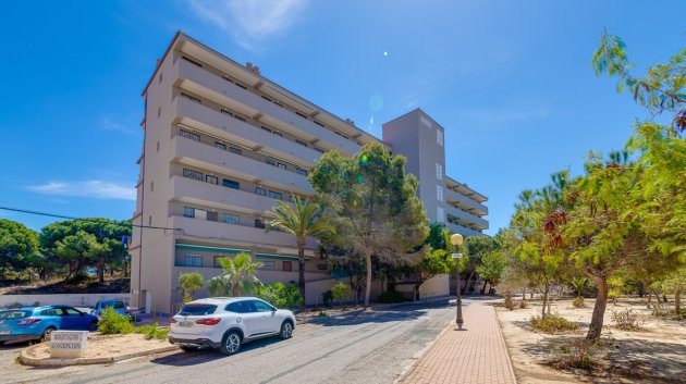 Resale - Apartments -
Guardamar del Segura - Pinomar