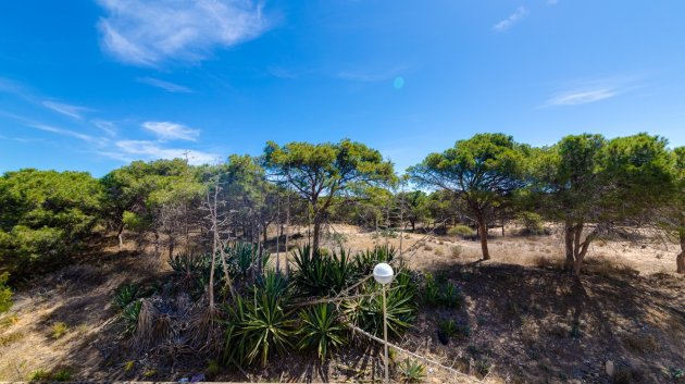 Resale - Apartments -
Guardamar del Segura - Pinomar